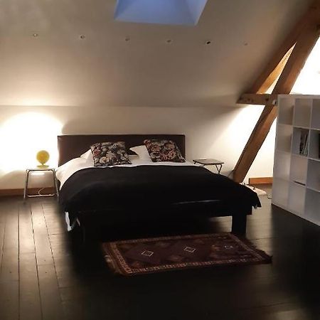 Le Loft Villa Sancergues Buitenkant foto