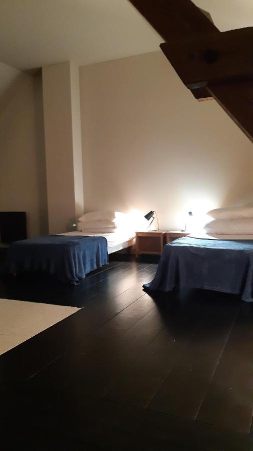 Le Loft Villa Sancergues Buitenkant foto